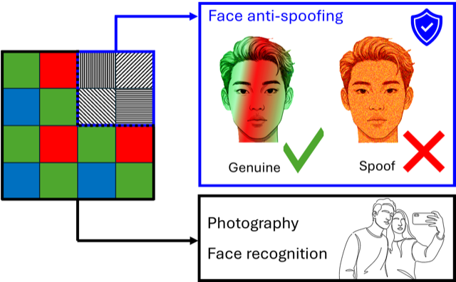 Sparse polarization pixels for face anti-spoofing